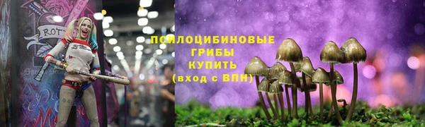 дурь Алексин