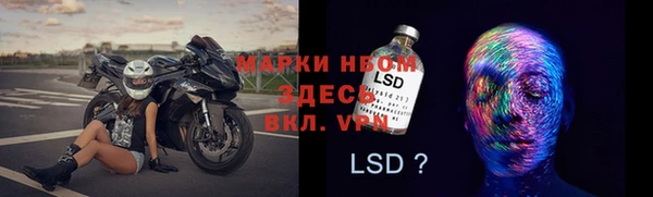 дурь Алексин