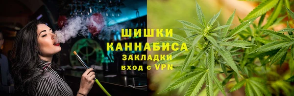 амф Пересвет