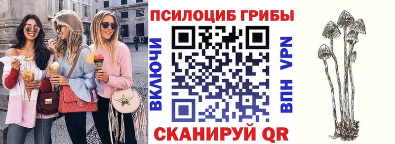 Галлюциногенные грибы Psilocybe мега ССЫЛКА Опочка закладки